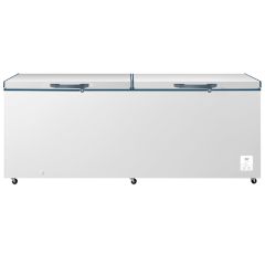 HISENSE | CONGELADOR HORIZONTAL | FC25D6BWXE | 25 CFT | DOS PUERTAS